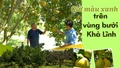 Giữ màu xanh trên vùng bưởi Khả Lĩnh