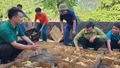 Hỗ trợ gà giống cho nông dân xã Nghĩa Đô