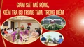 Giám sát mở rộng, kiểm tra có trọng tâm, trọng điểm