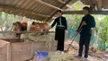 Phụ nữ Dương Quỳ phát huy quyền năng kinh tế
