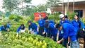 Xây dựng lối sống đẹp cho học sinh