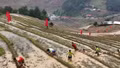 Hấp dẫn Giải Leo ruộng bậc thang Mù Cang Chải lần thứ Nhất năm 2026