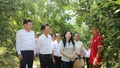 Phó Chủ tịch UBND tỉnh Vũ Thị Hiền Hạnh khảo sát tình hình thực tế tại xã Phúc Khánh 