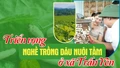 Triển vọng nghề trồng dâu nuôi tằm ở xã Trấn Yên