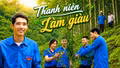 Thủ lĩnh thanh niên làm giàu từ đất đồi rừng