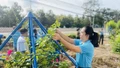 Xây dựng nếp sống văn hóa - văn minh: Những việc làm thiết thực