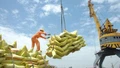 Gạo Việt xuất khẩu lấy lại vị thế "đắt giá nhất thế giới"
