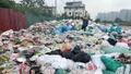 Đổ trộm, đốt bỏ hàng giả, hàng nhái: Xử lý nghiêm để răn đe