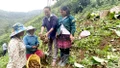 Cuộc cách mạng nông nghiệp ở Trạm Tấu