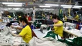 Doanh nghiệp Việt ứng phó tăng trưởng chậm của kinh tế thế giới