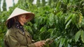 Xuất khẩu nông lâm thủy sản: Cơ hội bứt phá từ đa dạng hóa thị trường, sản phẩm