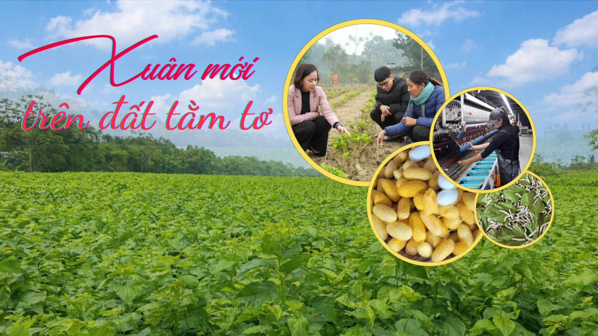 Xuân mới trên đất tằm tơ
