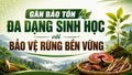 Gắn bảo tồn đa dạng sinh học với bảo vệ rừng bền vững
