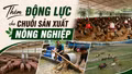 Thêm động lực cho chuỗi sản xuất nông nghiệp
