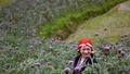 [Ảnh] Mùa hoa atiso tím biếc giữa núi rừng Sa Pa