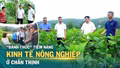 “Đánh thức” tiềm năng kinh tế nông nghiệp ở Chấn Thịnh