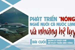 Bài cuối: Quản lý chặt chẽ để phát triển bền vững