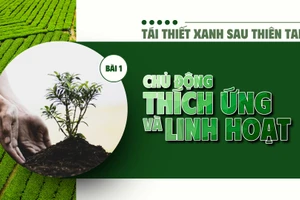 Bài 1: Chủ động thích ứng và linh hoạt