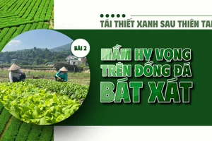 Bài 2: Mầm hy vọng trên đồng đất Bát Xát