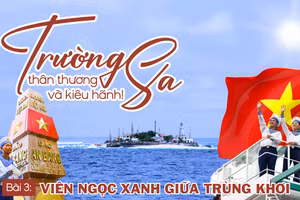 Bài 3: Viên ngọc xanh giữa trùng khơi