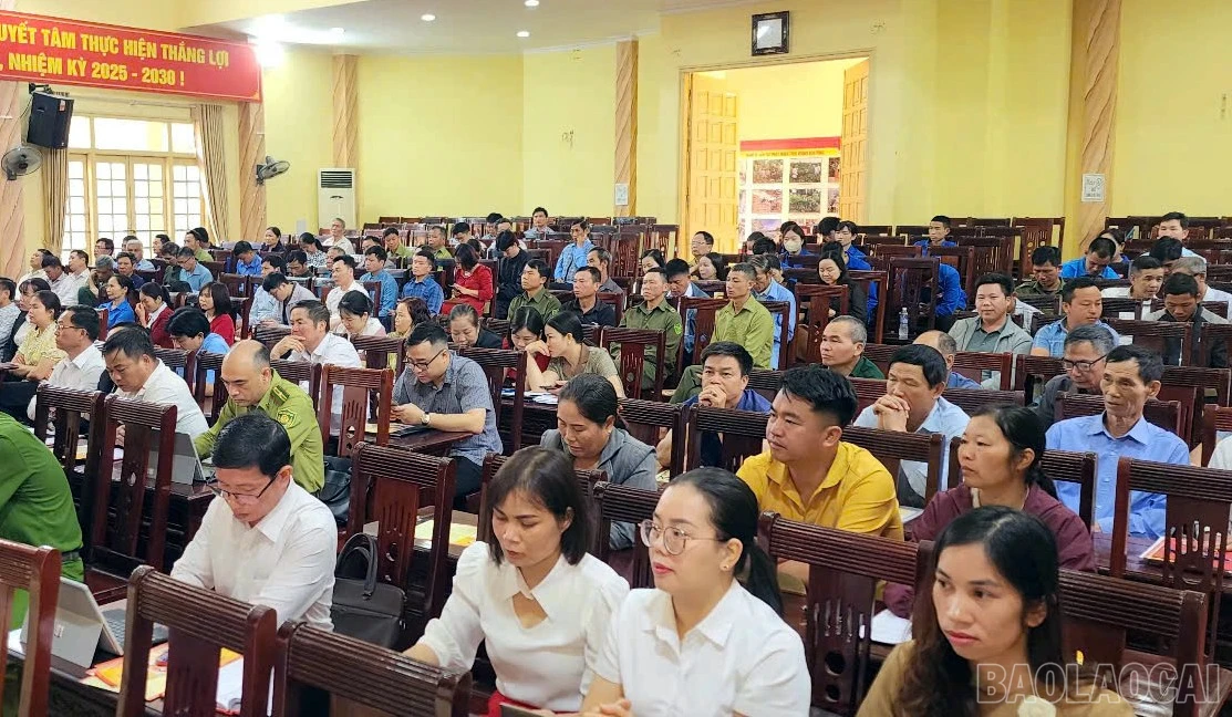 baolaocai-br_z7580331540145-20f39cf99e92905c605a52cffc204ed8.jpg