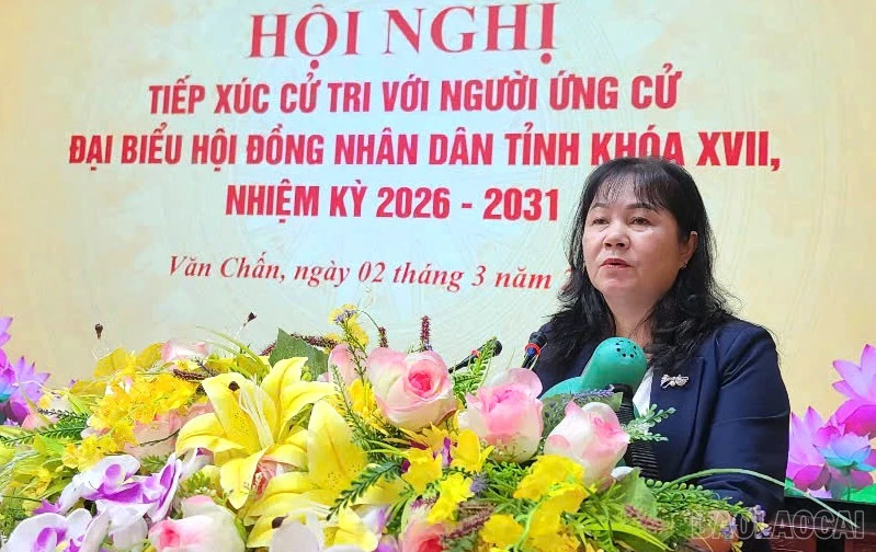 baolaocai-br_z7580330898520-634a36920d45c34045a8d48b1ad31b48.jpg