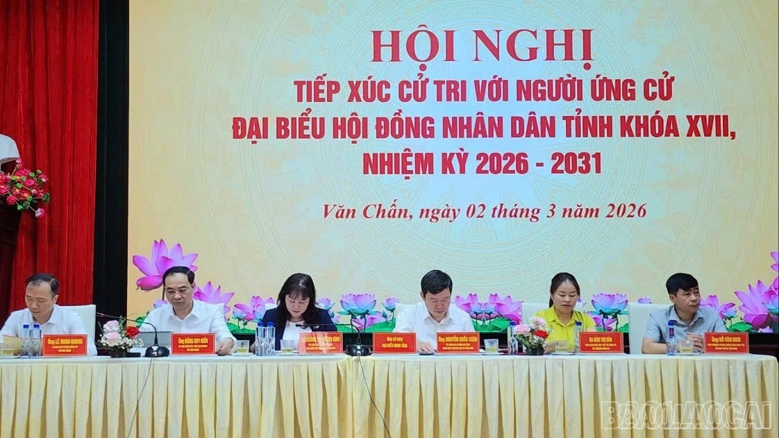 baolaocai-br-z7580332522630-7182fdaa76f08a5474af3b3d6f83ba10-8846.jpg
