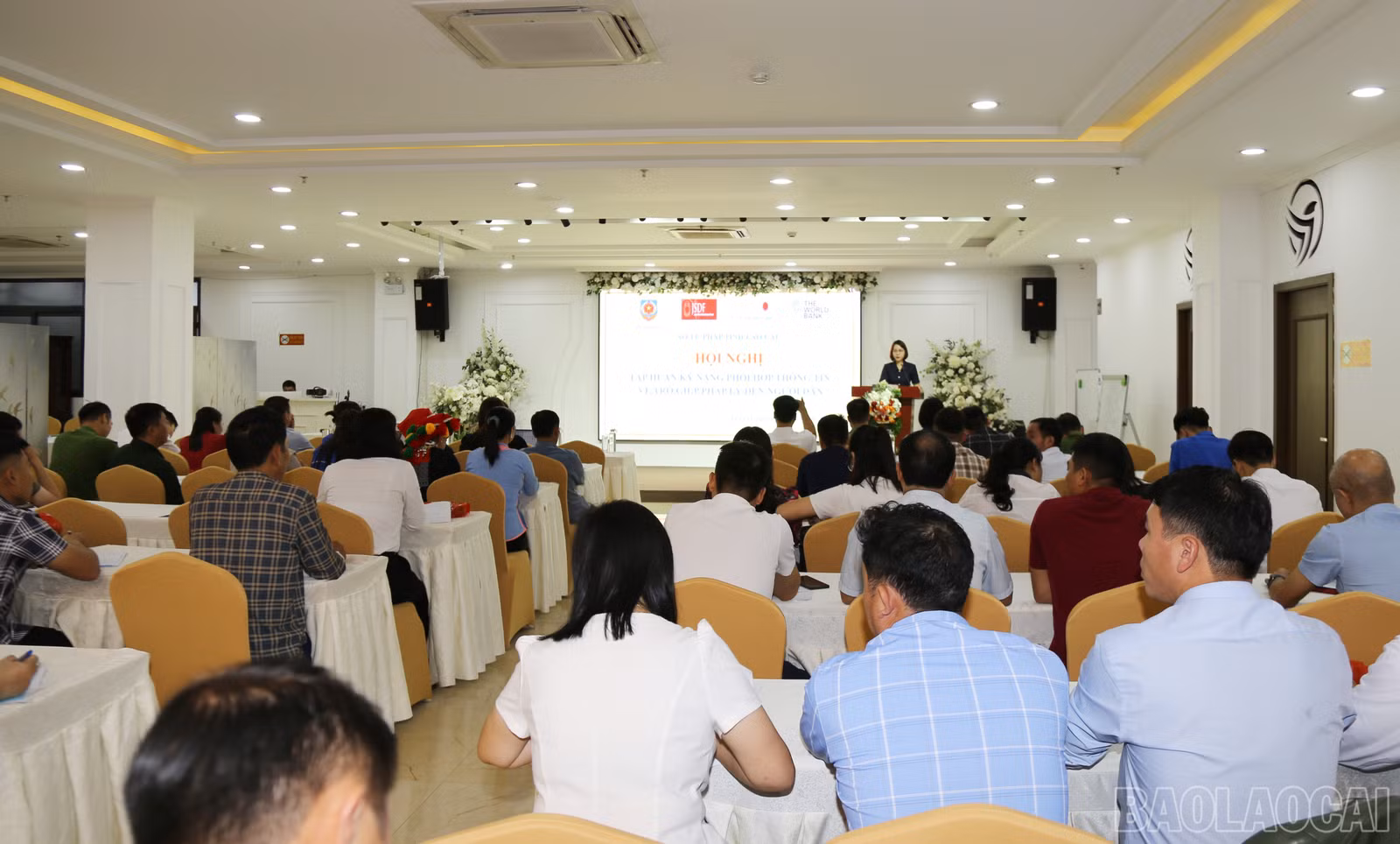 baolaocai-br_img-1250.jpg