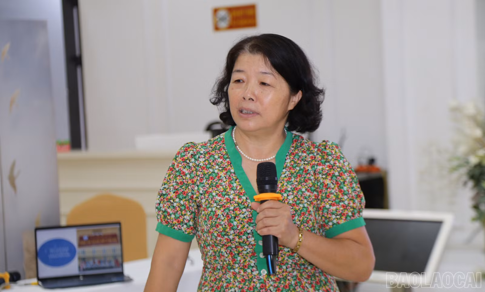 baolaocai-br_img-1280.jpg