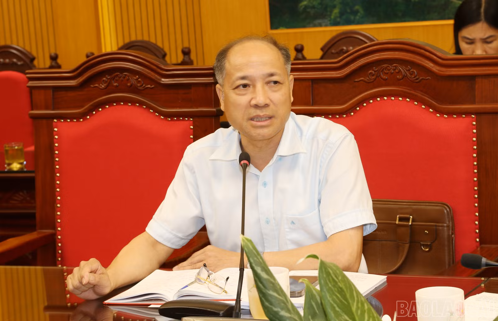 baolaocai-br_img-1046.jpg