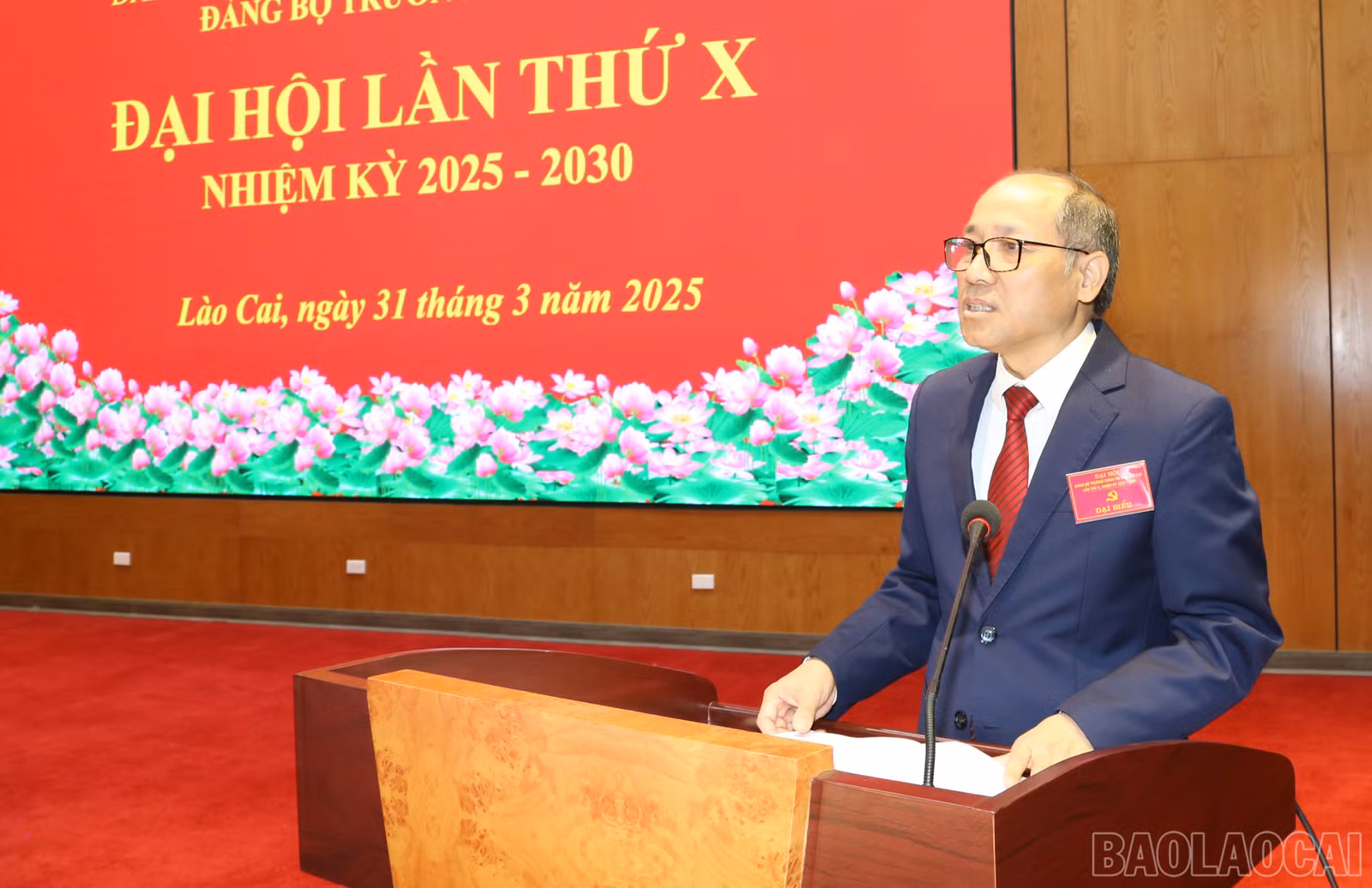 baolaocai-br_img-0403.jpg