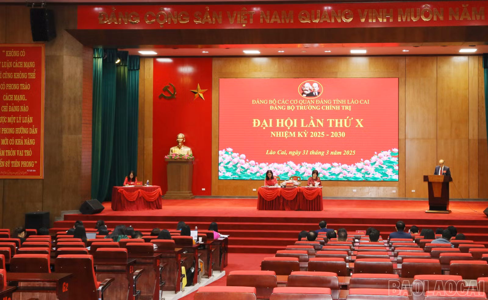 baolaocai-br_img-0326.jpg