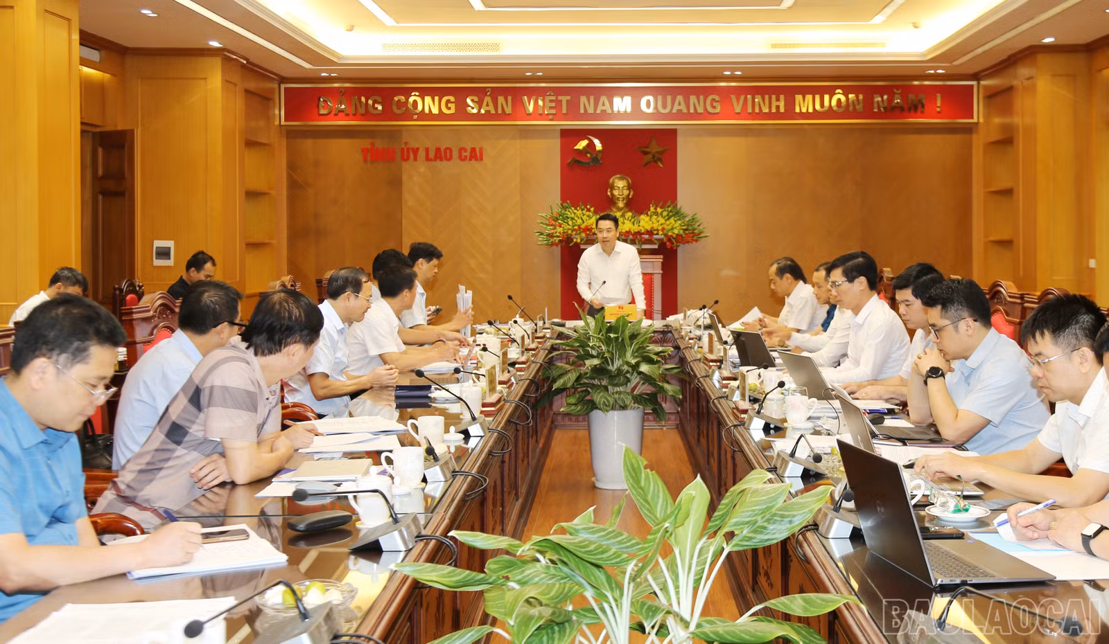 baolaocai-br_img-0808.jpg