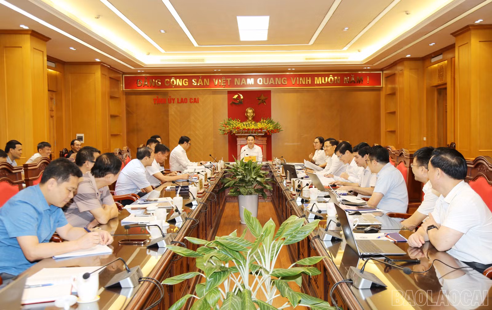 baolaocai-br_img-0777.jpg