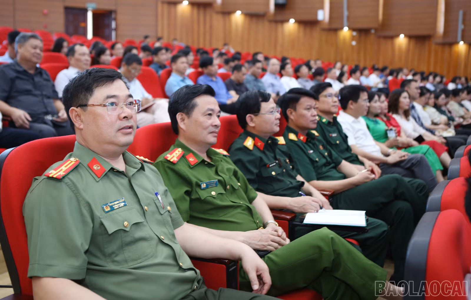 baolaocai-br_4.jpg