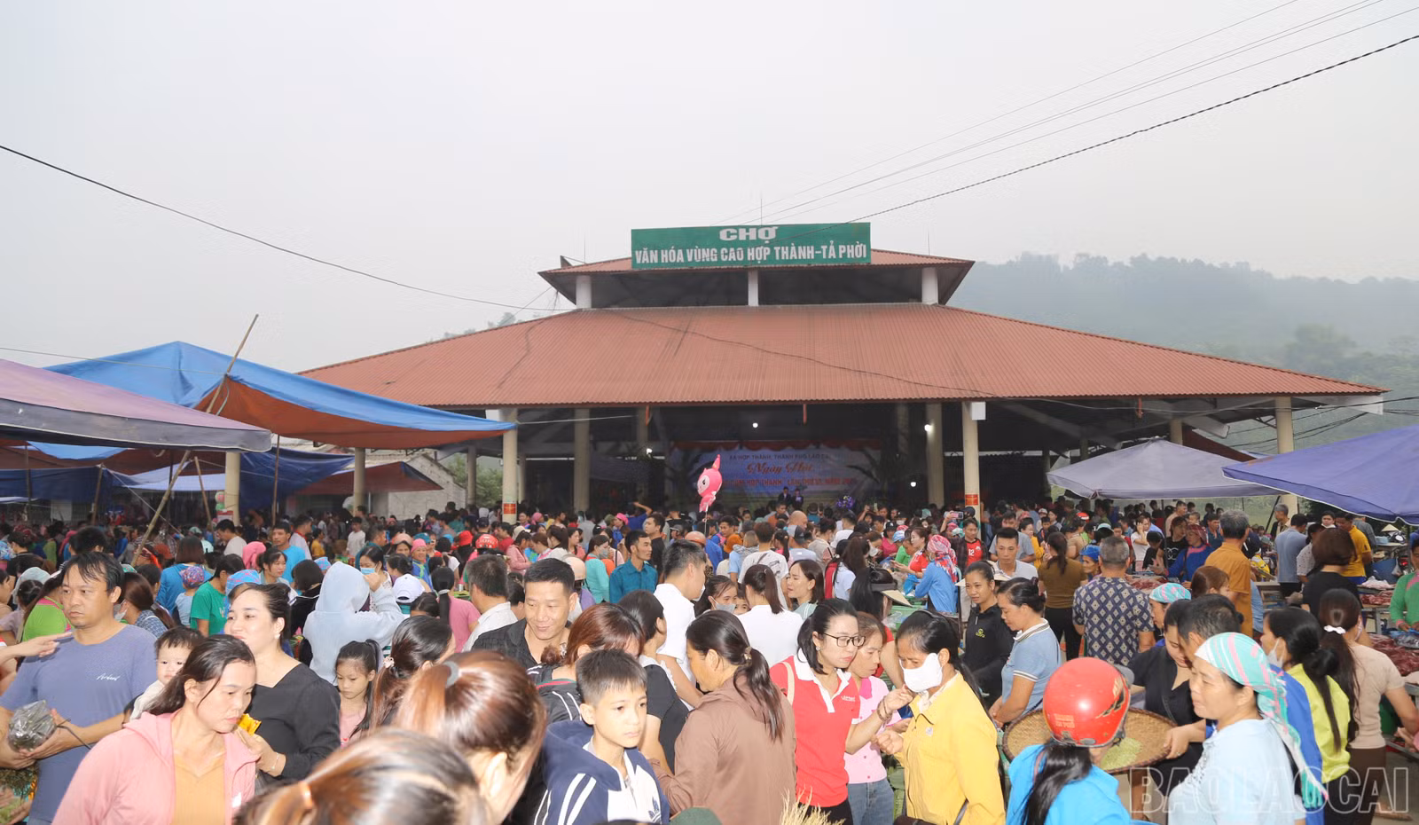 baolaocai-br_img-3639.jpg