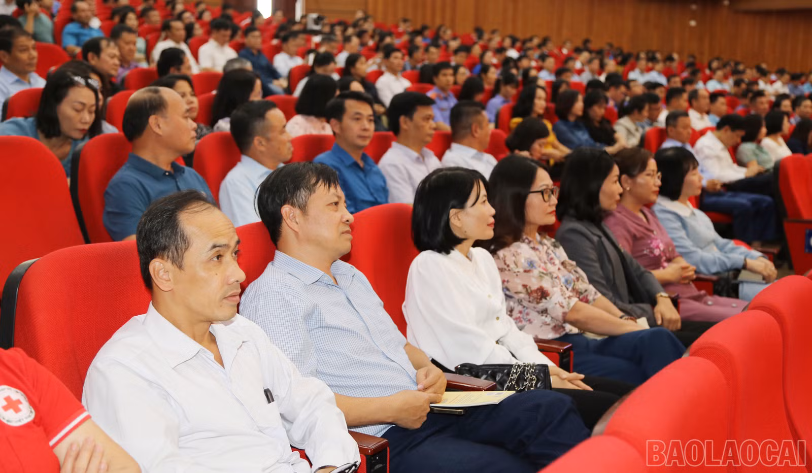 baolaocai-br_img-4447.jpg