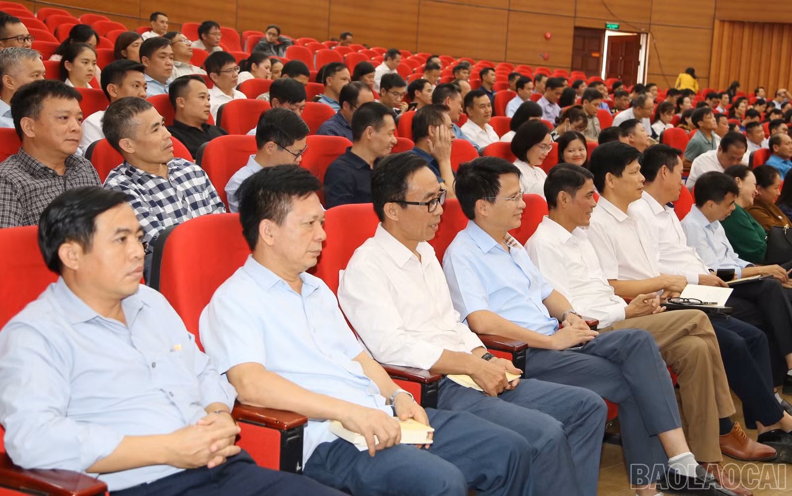 baolaocai-br_img-4444.jpg