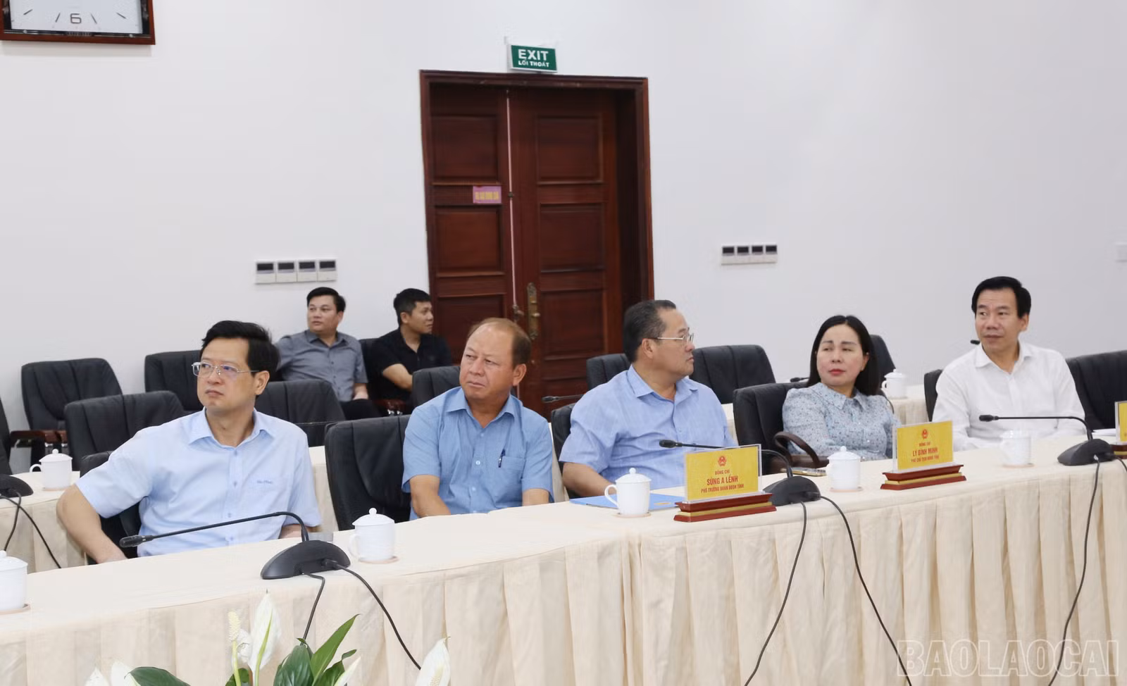 baolaocai-br_img-0915.jpg