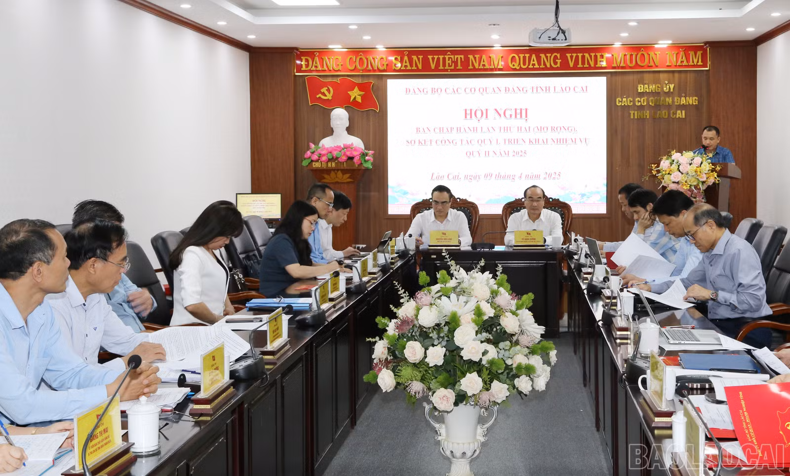 baolaocai-br_img-0587.jpg