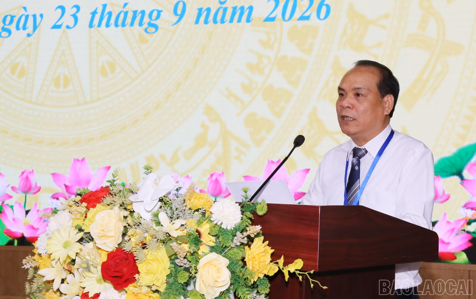 baolaocai-br_img-2875.jpg
