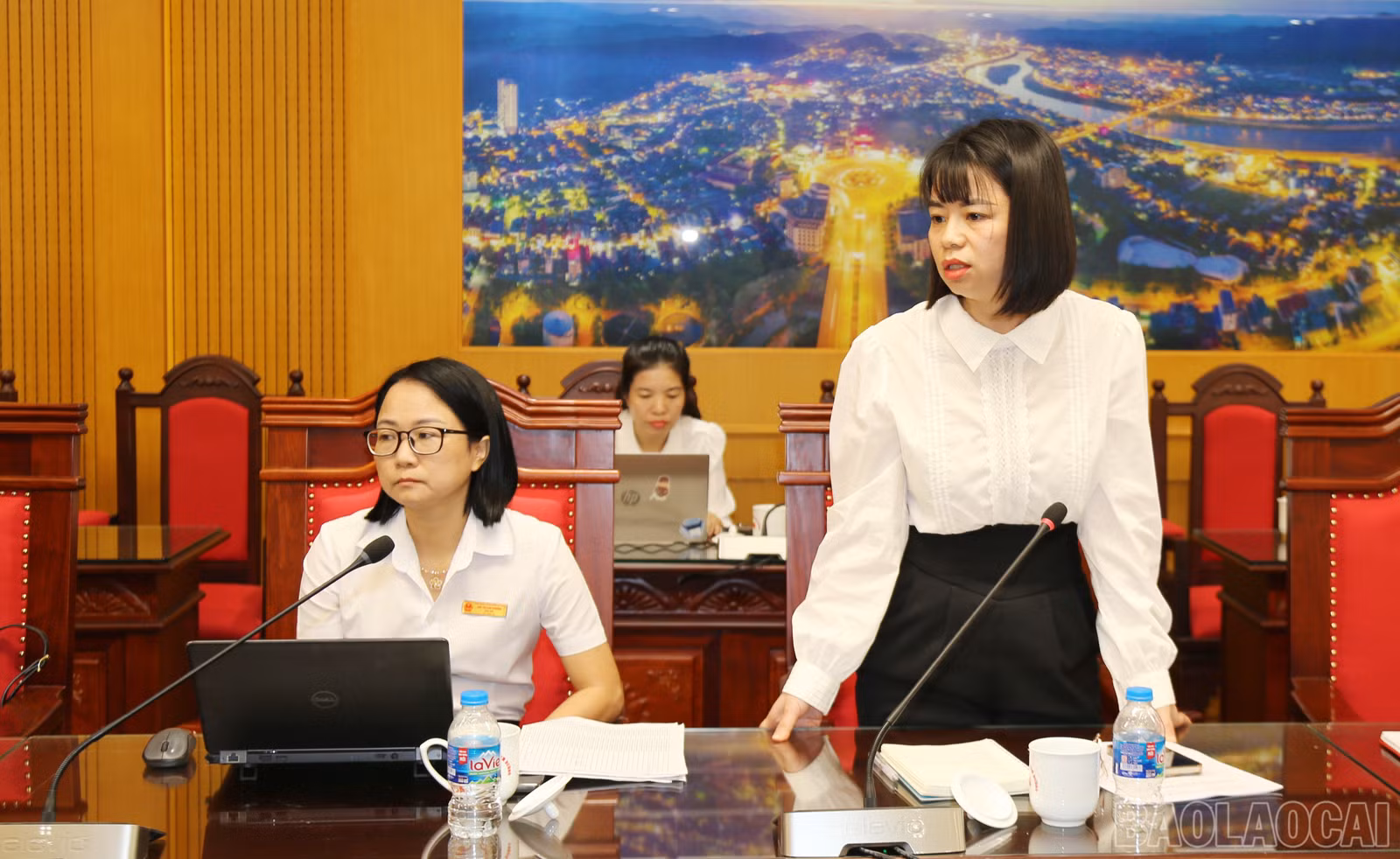 baolaocai-br_img-1340.jpg