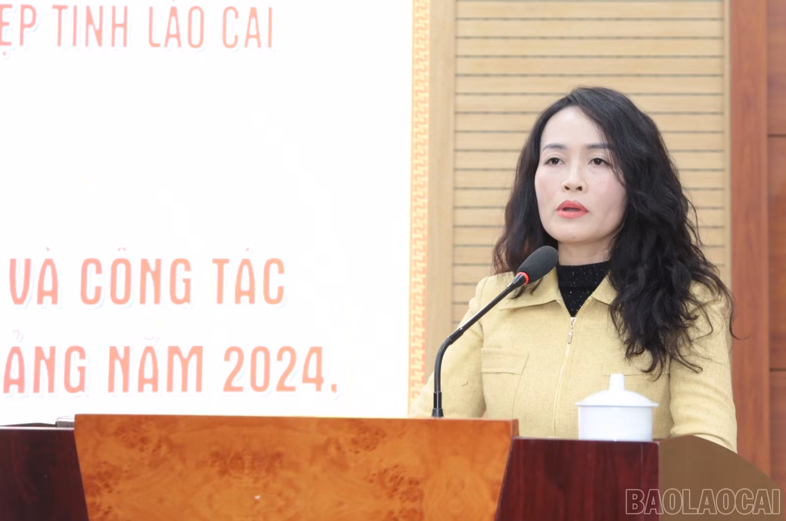 baolaocai-br_img-6166.jpg
