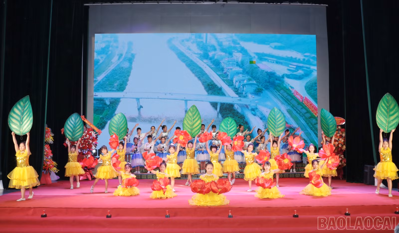 baolaocai-br_img-9975.jpg
