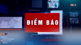 Điểm báo (11/1/2026)