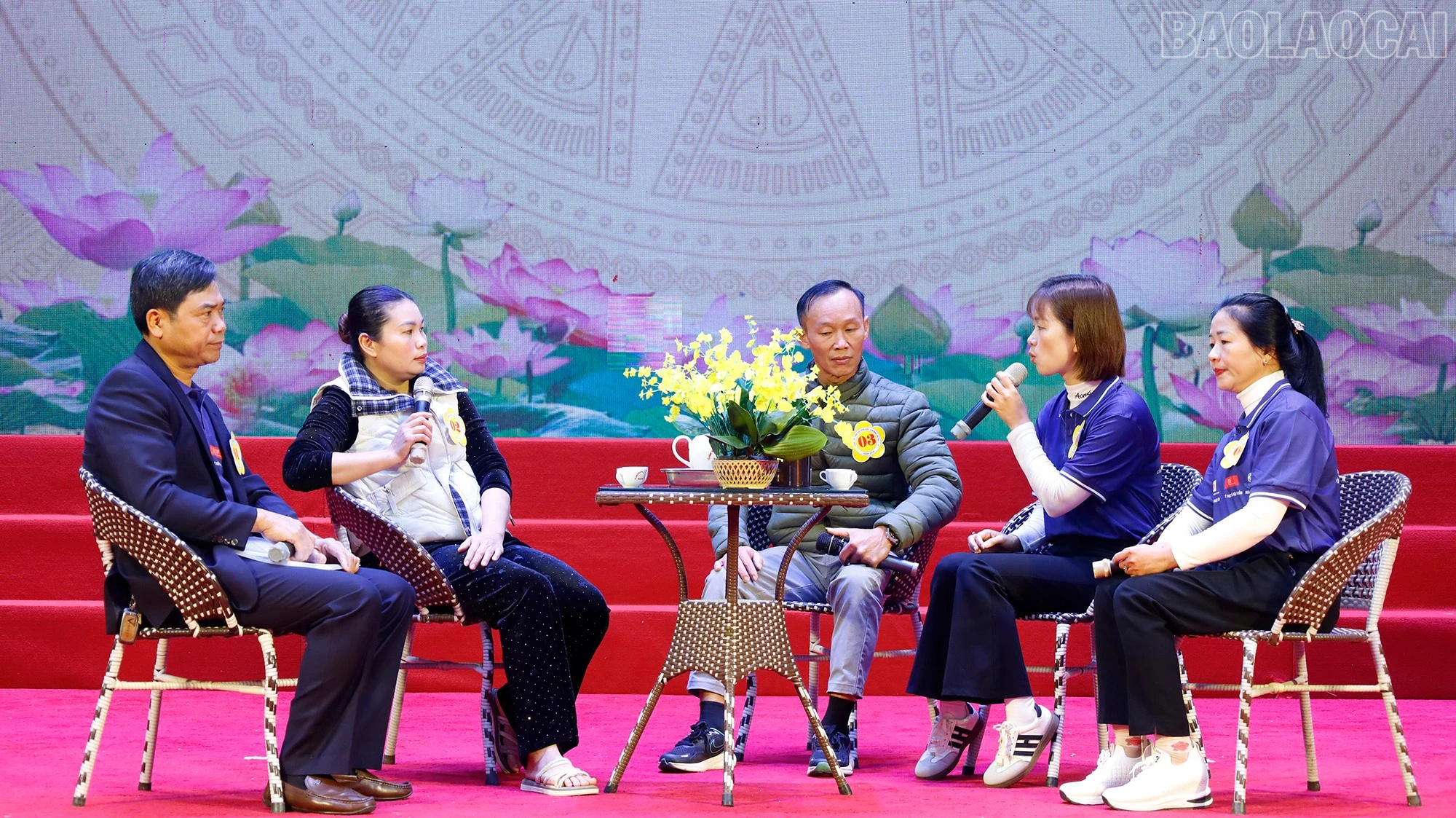baolaocai-tr_mg-8394.jpg