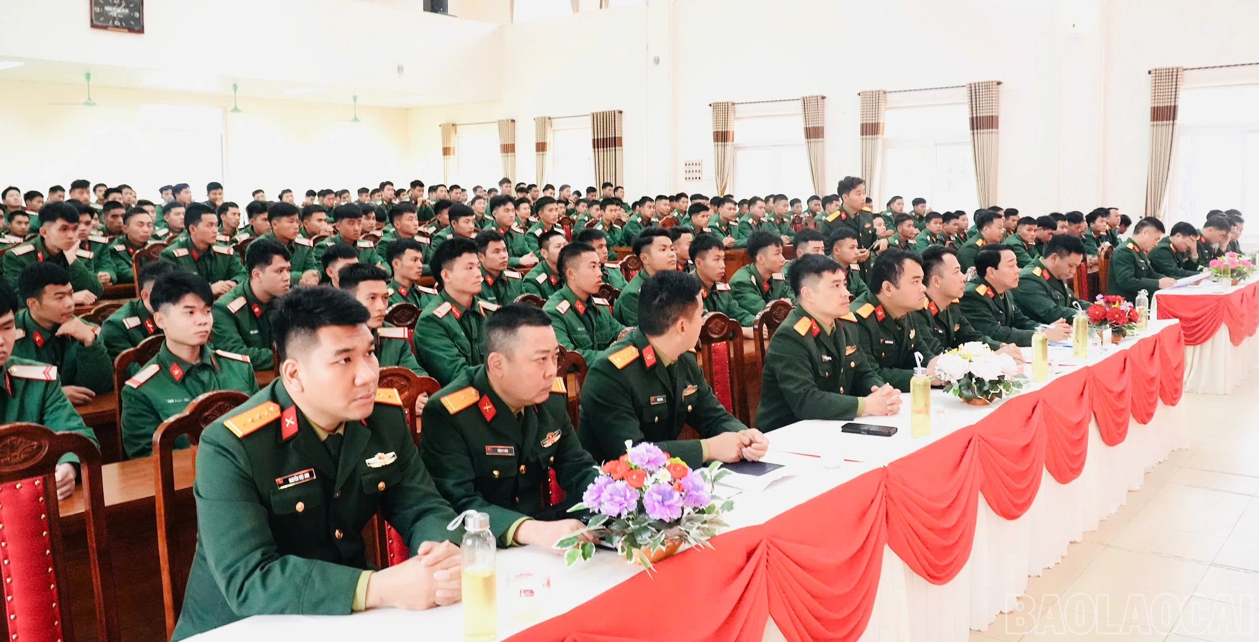baolaocai-br_img-5820.jpg