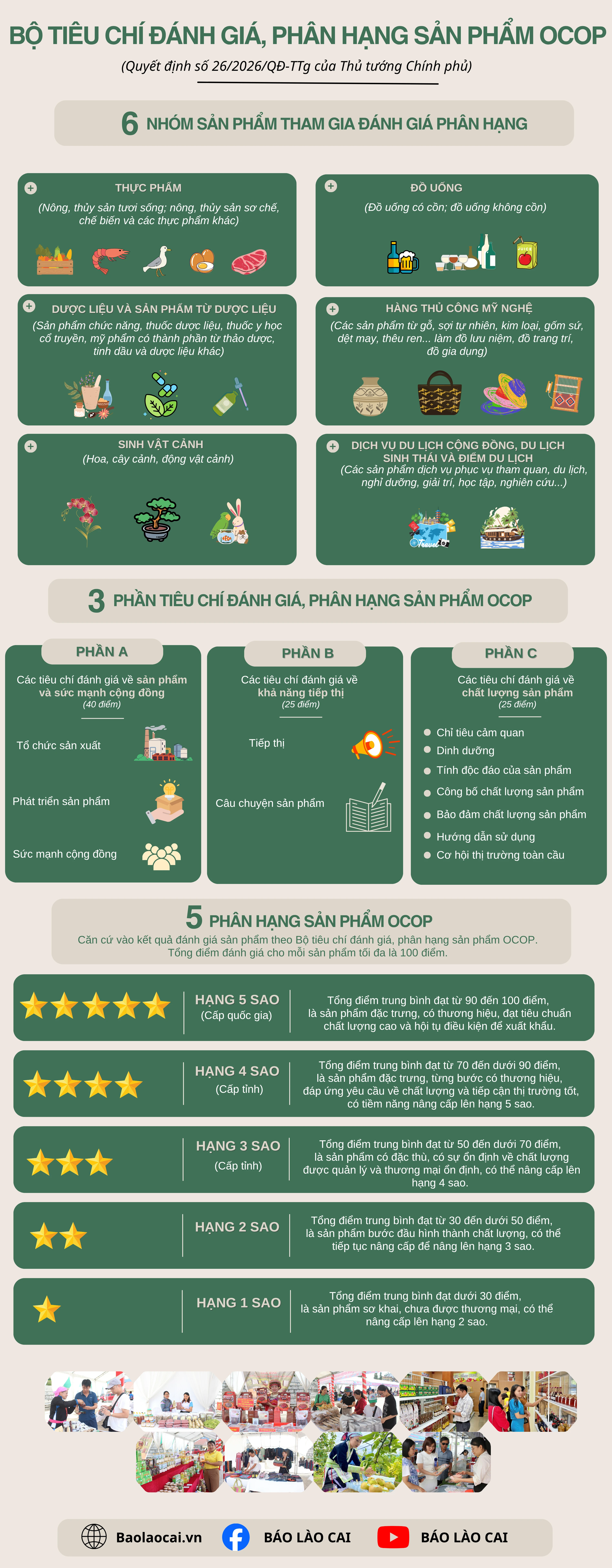 beige-green-simple-minimalist-market-research-infographic-3000-x-8000-px.png