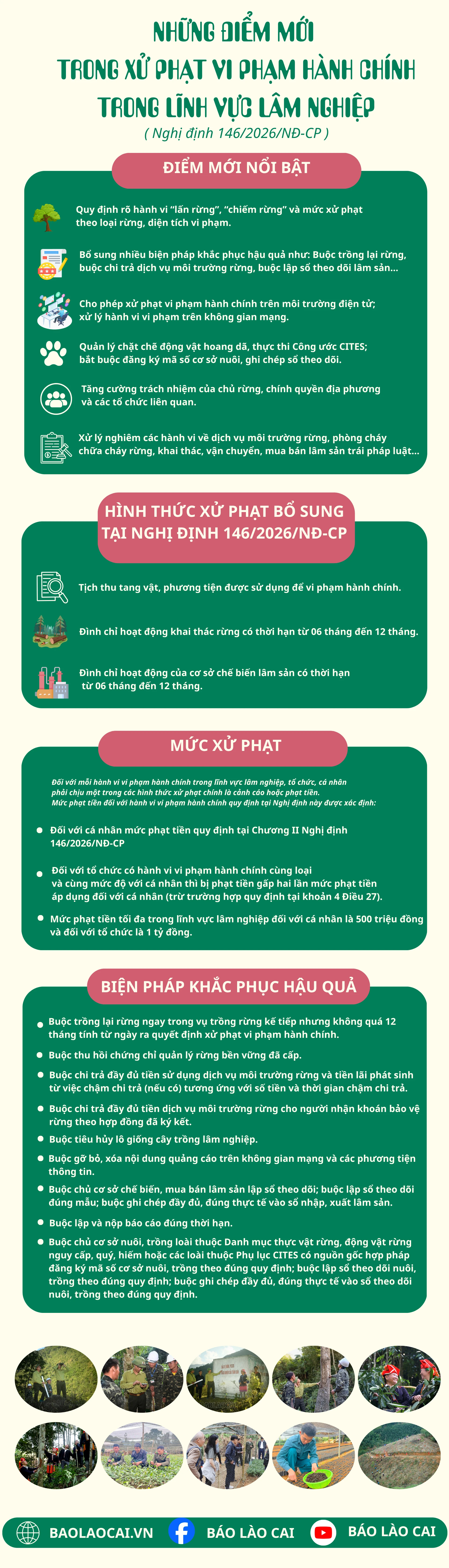 green-illustration-travel-budget-breakdown-infographic-1920-x-8000-px1.png