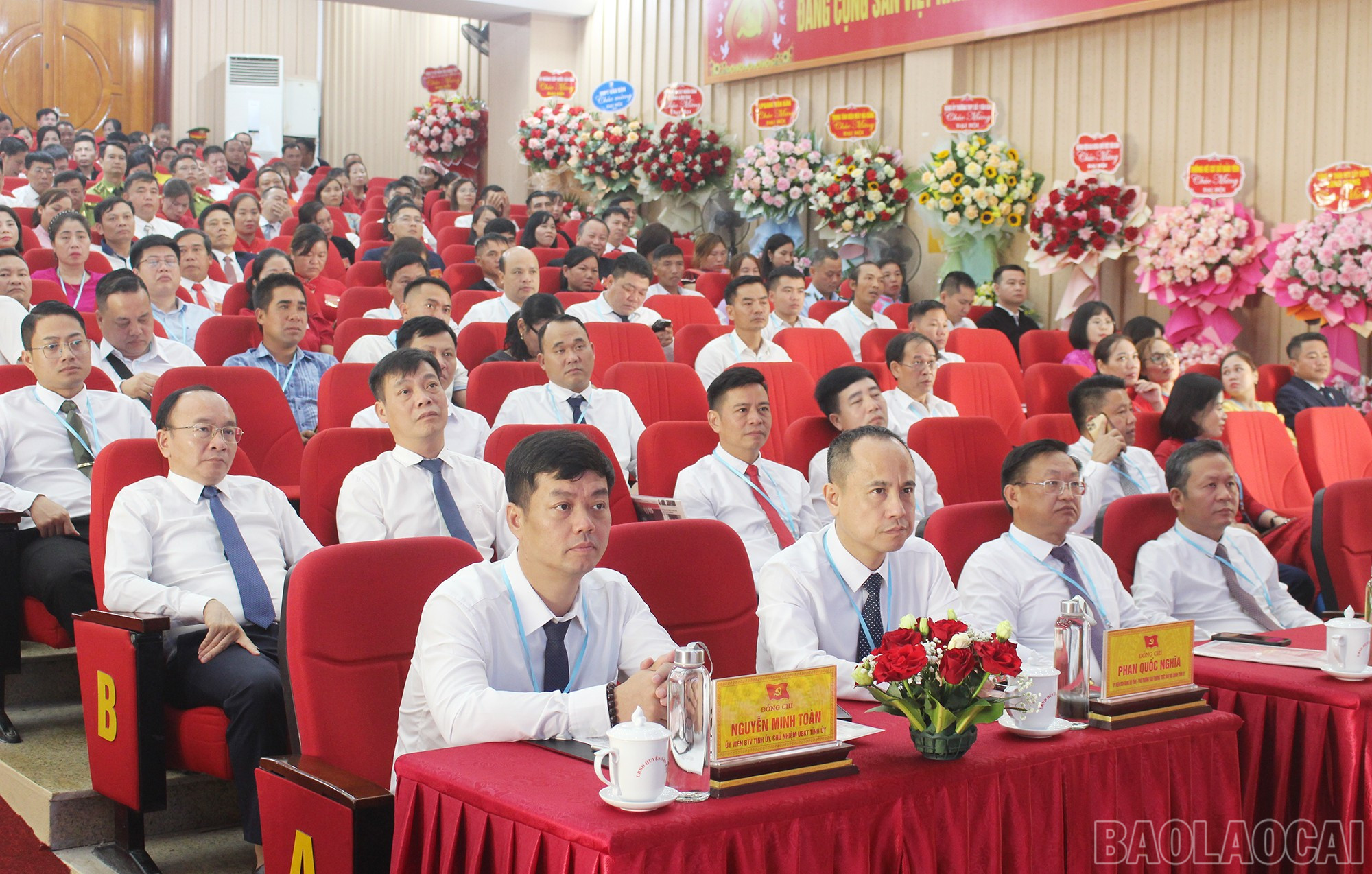 baolaocai-br_img-6433.jpg